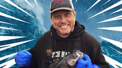'Deadliest Catch' Cast Face Brutal Seas for Massive Payouts
