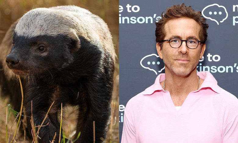 Ryan Reynolds Celebrates Nature’s Losers in Nat Geo’s ‘Underdogs’ Trailer (Exclusive)