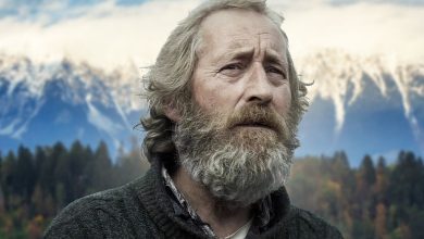 This Underrated Nordic Noir Is the Most Beautiful, Heartbreaking Movie You’ve Never Seen