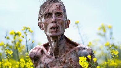 10 Movies You Had No Idea Were Shot On An iPhone