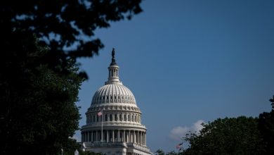 As GOP Looks To Pass Donald Trump’s “Big, Beautiful Bill,” Democrats Launch Effort To Mobilize Again...