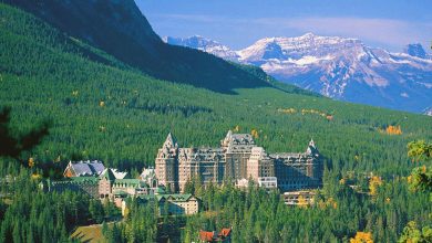 Canadian Industry Rebuffs Trump’s DEI Rollback