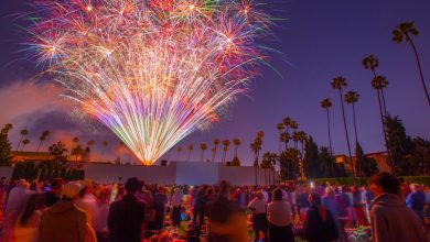 Cinespia Creative Director Talks Providing “Escapism” & More For Angelenos With “The City At Its Mos...