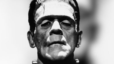 The 9 Best Frankenstein Films