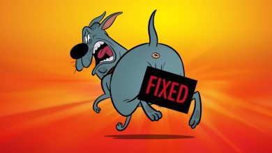 ‘Fixed’ Review: Very R-Rated Hot-To-Trot Dog Cartoon Tries Hard To Be Outrageous & Succeeds- Annecy ...