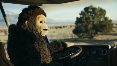 ‘This Hellhole Underneath the Fur Is My Happy Place’: How a Ventriloquist Turned Her Monkey Act Into...