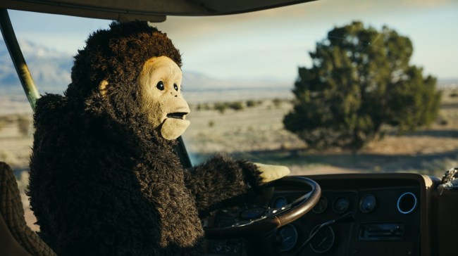 ‘This Hellhole Underneath the Fur Is My Happy Place’: How a Ventriloquist Turned Her Monkey Act Into...