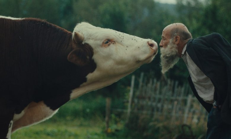 ‘Better Go Mad In The Wild’ Review: Miro Remo’s Crystal Globe Winner Gets Up Close And Personal With...