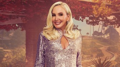 ‘RHOC’s Shannon Beador Says She Is In No “Rush” To Fix Friendship With Tamra Judge & Shares Take On ...