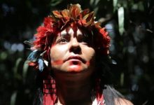 ‘We Are Guardians’ Review: Leonardo DiCaprio Executive Produced This Simple but Galvanizing Document...