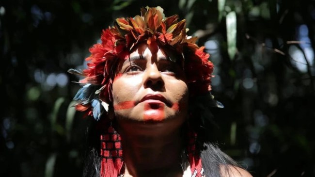 ‘We Are Guardians’ Review: Leonardo DiCaprio Executive Produced This Simple but Galvanizing Document...