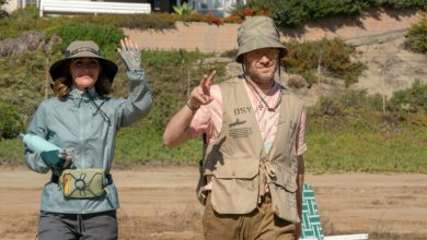 Apple TV+, Seth Rogen Continue Hot Streaks with Second Season of “Platonic”