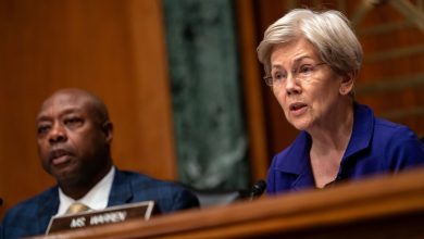 Elizabeth Warren Calls Skydance And Paramount Responses “Dodgy,” Wants Investigation Of Whether Ther...