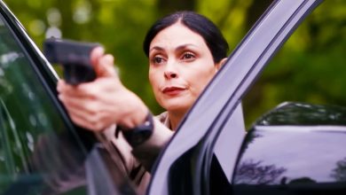 Sheriff & Fire Country's Crossover Challenges Have One Silver Lining