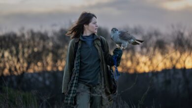 ‘H Is For Hawk’ Review: Claire Foy Soars High In This True Drama About A Woman And A Goshawk Who Bon...