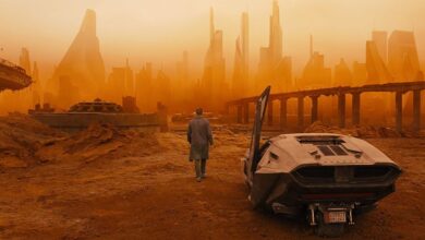 10 Best Cinematographers of All Time