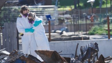 Telluride First Look: Ondi Timoner’s Wrenching Altadena Fire Short ‘All the Walls Came Down’