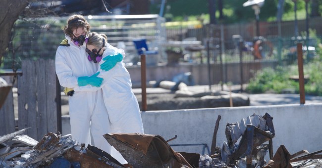 Telluride First Look: Ondi Timoner’s Wrenching Altadena Fire Short ‘All the Walls Came Down’