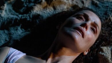 ‘If I Had Legs I’d Kick You’: Why critics say ‘brilliant’ Rose Byrne deserves to be in the awards ra...