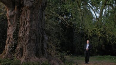 ‘Silent Friend’ Review: A Mesmerizing Reflection On Humans, Plants & How We Might Communicate – Veni...