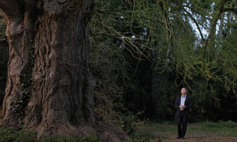 ‘Silent Friend’ Review: A Mesmerizing Reflection On Humans, Plants & How We Might Communicate – Veni...
